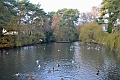 24 11 11_3793_edited-1